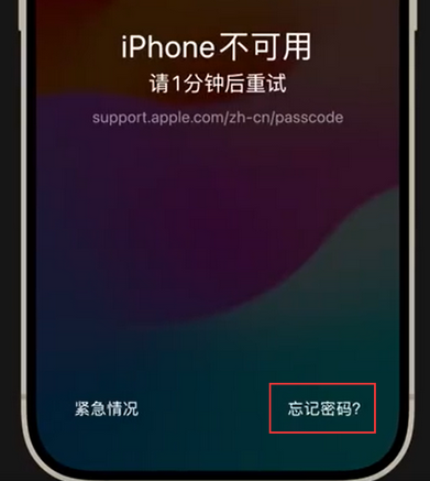 永仁苹果手机密码维修分享iPhone忘记了刚设置的密码 